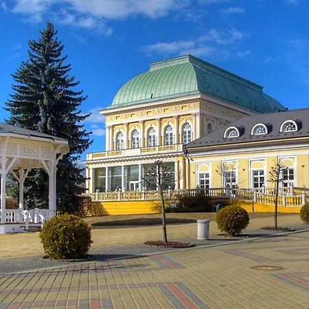 Penzion U Modreho Slona Františkovy Lázně Dış mekan fotoğraf